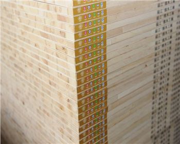 給大家簡述一下細木工板的一些知識，趕快來學習吧！